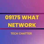 09175 What Network