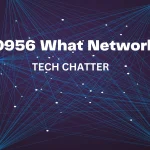 0956 What Network
